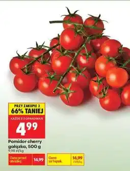 Biedronka Pomidor cherry gałązka, 500 g oferta