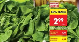 Biedronka Sałata masłowa , szt oferta