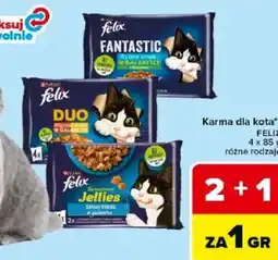 Carrefour Market Felix Karma dla kota oferta
