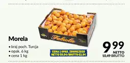 Makro Morela Turcja oferta