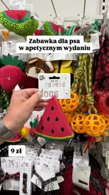 Pepco Zabawka dla psa w apetycznym wydaniu for pets oferta