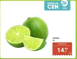 Dino Limonka luz oferta