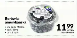 Makro Borówka amerykańska Maroko oferta
