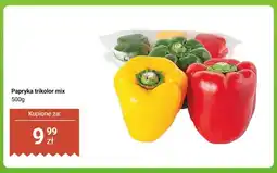 Dino Papryka trikolor mix oferta