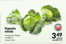 Makro Kapusta młoda Polska oferta