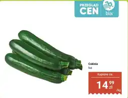 Dino Cukinia luz oferta
