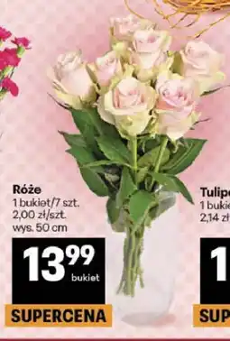 Delikatesy Centrum Róże wys. 50cm oferta