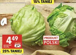 Delikatesy Centrum Sałata lodowa polska oferta
