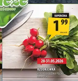 Arhelan Rzodkiewka polska oferta