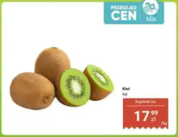 Dino Kiwi luz oferta