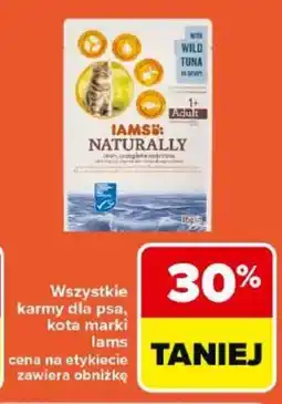 Carrefour Market Iams Karma dla psa, kota oferta