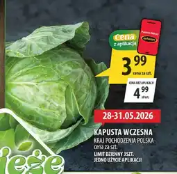 Arhelan Kapusta wczesna polska oferta