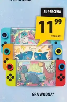 Arhelan Gra wodna oferta