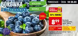 Biedronka Borówka amerykańska oferta