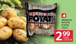Selgros Potatki Ziemniaki oferta