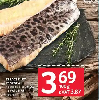 Selgros Zębacz filet ze skórą oferta