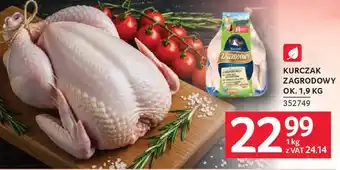 Selgros Kurczak Zagrodowy oferta