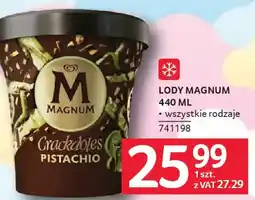 Selgros Magnum Lody oferta