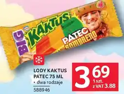 Selgros Big kaktus Lody Patec Sombrero oferta