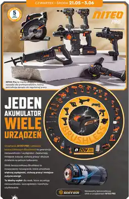 Biedronka Narzędzia bezszczotkowe Niteo Pro oferta