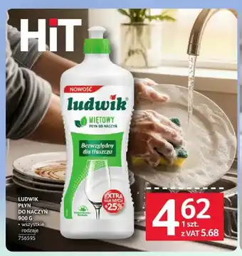 Selgros Płyn do naczyń Ludwik oferta