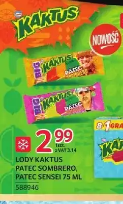 Selgros Lody KAKTUS Patec Sombrero oferta