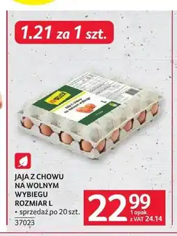 Selgros Topseller Jaja z chowu na wolnym wybiegu Rozmiar L oferta