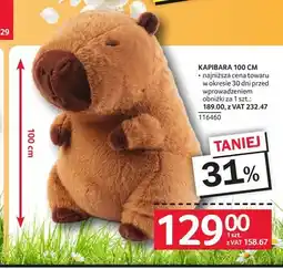 Selgros Kapibara 100cm oferta
