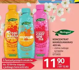 Selgros Koncentrat mango/ananas Herbapol oferta