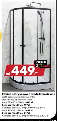 Bricomarche Kabina natryskowa z brodzikiem Ariana oferta