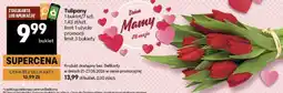 Delikatesy Centrum Tulipany oferta
