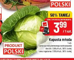 Polomarket Kapusta młoda polska oferta