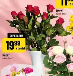 Polomarket Róże oferta