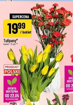Polomarket Tulipany bukiet 12szt oferta