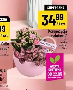 Polomarket Kompozycja kwiatowa średnica doniczki 17cm oferta