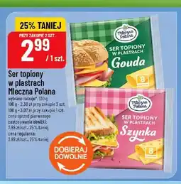 Polomarket Ser topiony w plastrach Mleczna Polana Gouda oferta
