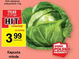 Gram Market Kapusta młoda oferta