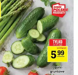 Gram Market Ogórki gruntowe oferta