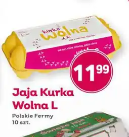 Bliski Kurka Wolna Jaja L oferta