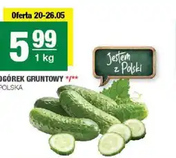 Spar Ogórek gruntowy oferta