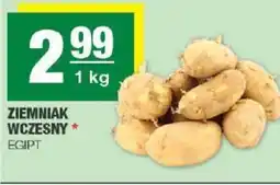 Spar Ziemniak wczesny oferta