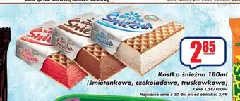 Koral Kostka śnieżna