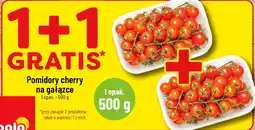 Polomarket Pomidory cherry na gałązce oferta