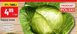 Polomarket Kapusta młoda oferta