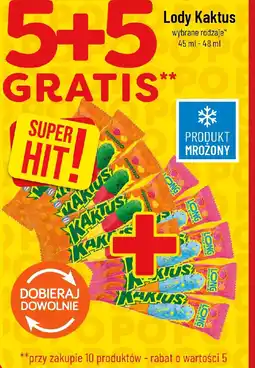 Polomarket Kaktus Lody oferta