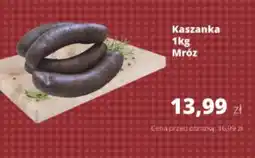 Torimpex Mróz Kaszanka oferta