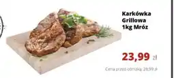 Torimpex Mróz Karkówka Grillowa oferta
