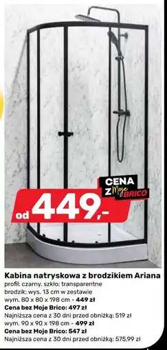 Bricomarche Kabina natryskowa z brodzikiem Ariana oferta