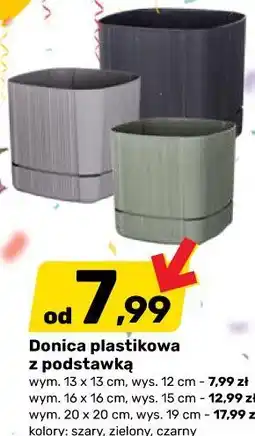 Bricomarche Donica plastikowa z podstawką oferta