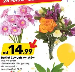 Bricomarche Bukiet żywych kwiatów oferta